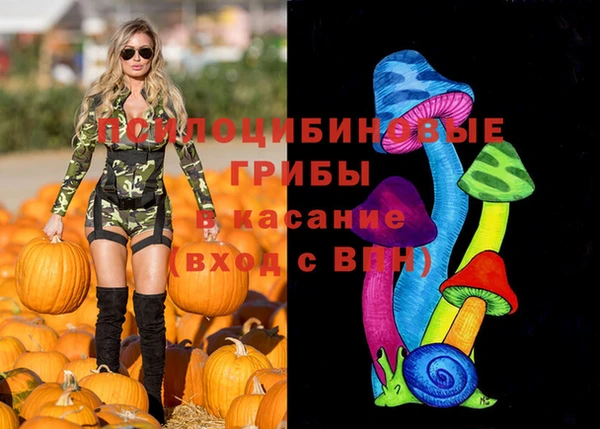 соль ск Балабаново
