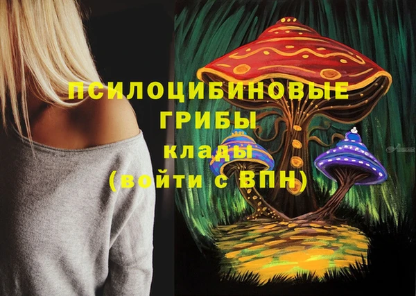 соль ск Балабаново